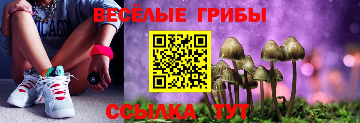 Псилоцибиновые грибы прущие грибы  Вход с VPN  Тейково 